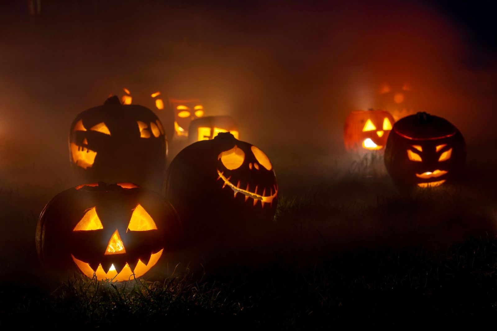Hand-carved pumpkins glowing along a night trail, the setting of the October Pumpkinferno event