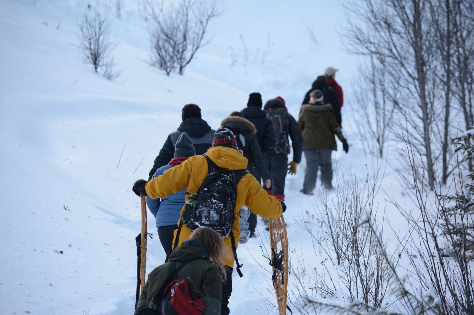 Snowshoers on a woodland trail in the evening, the kind of winter outing Hardwood hosts