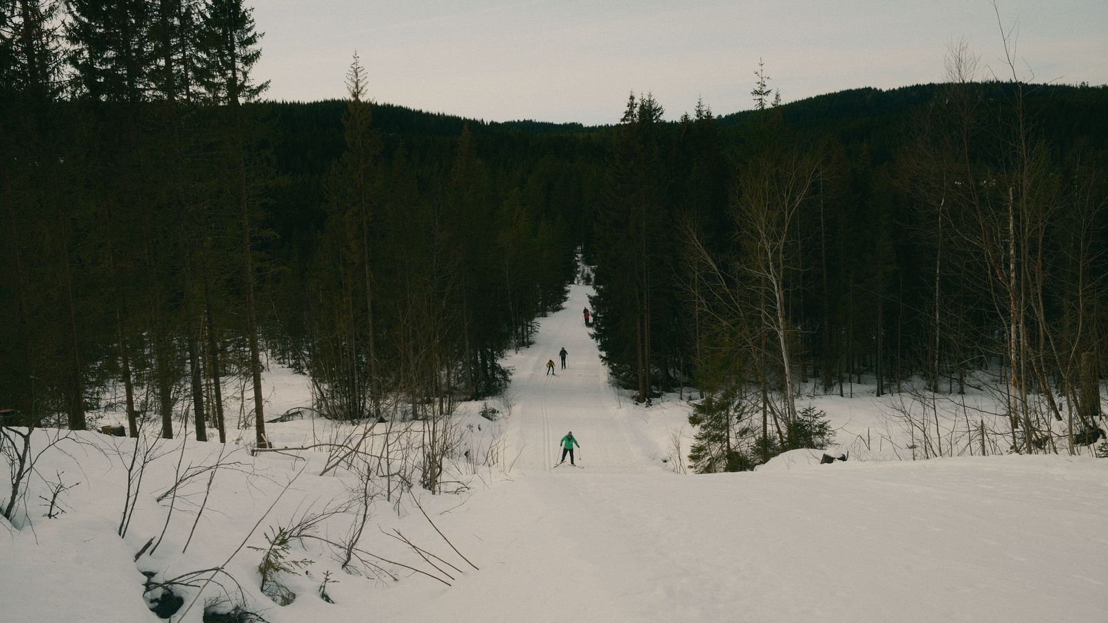 Hardwood Ski and Bike