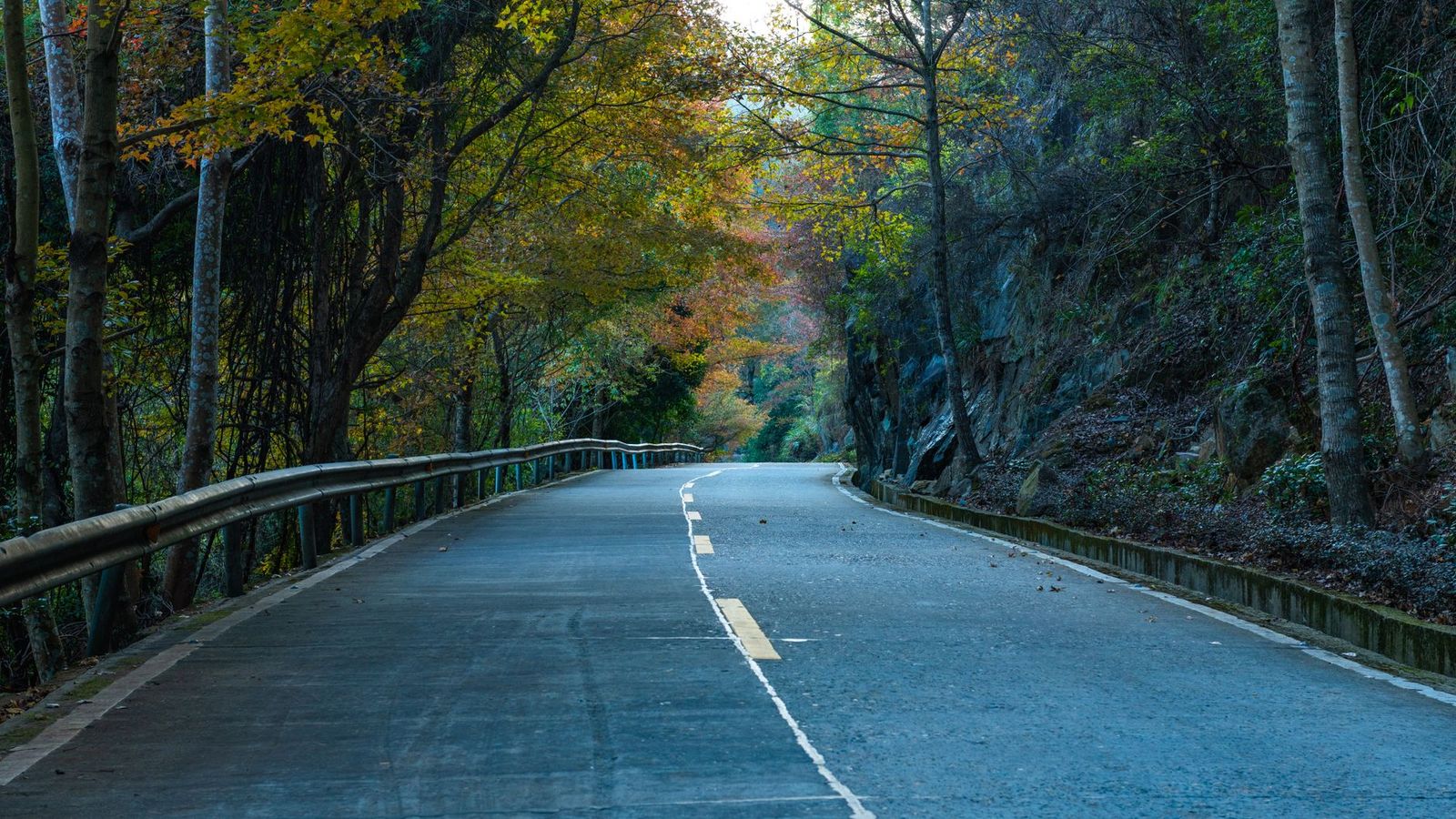 Toronto to Algonquin Park