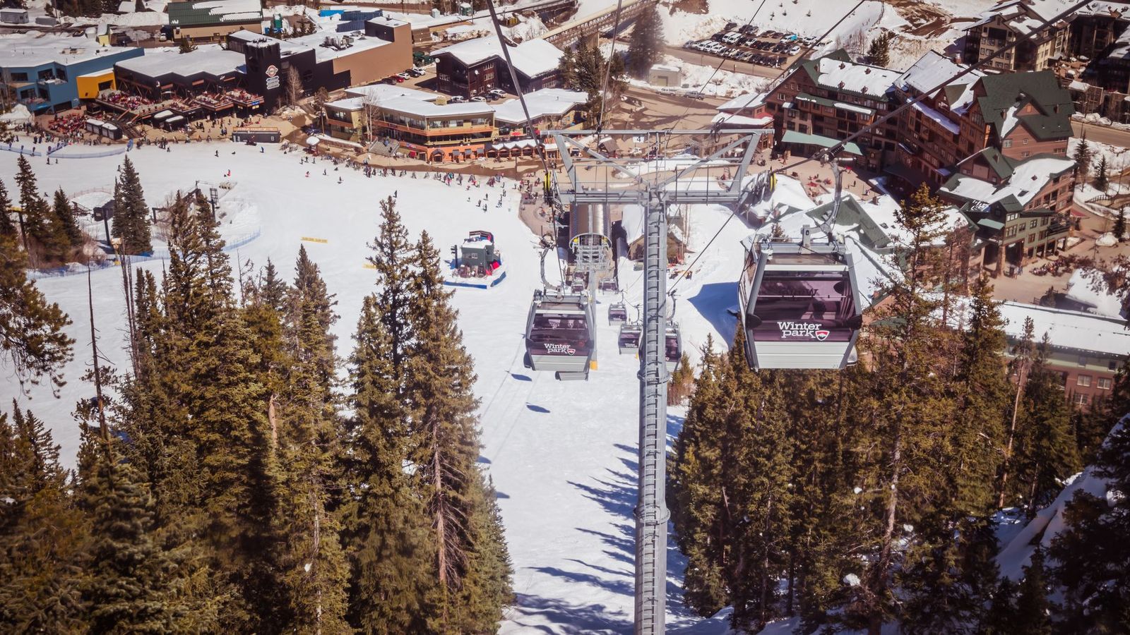 Blue Mountain day trip