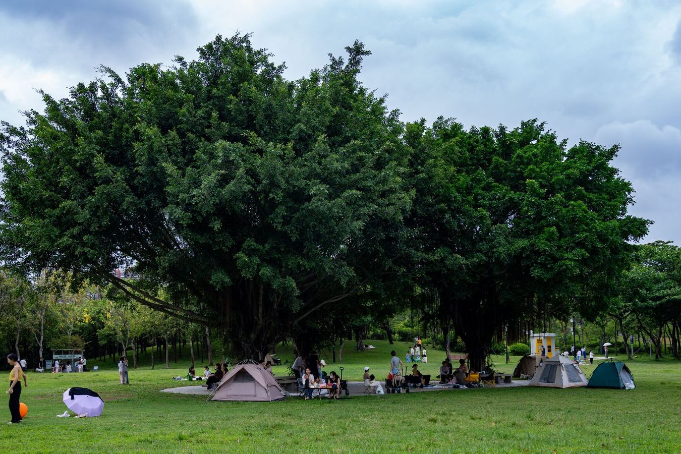 A family in red and white sitting on the grass in a lakeside park