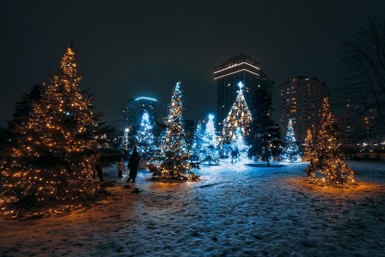 A snow-lined road at dusk with Christmas lights glowing ahead