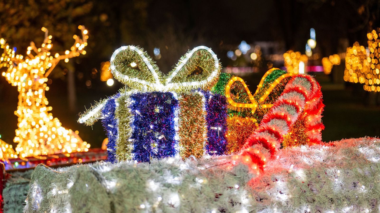 Christmas lights in Barrie