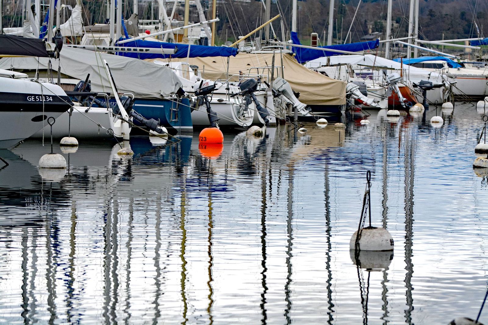 Boats moored at a Georgian Bay marina on a calm morning