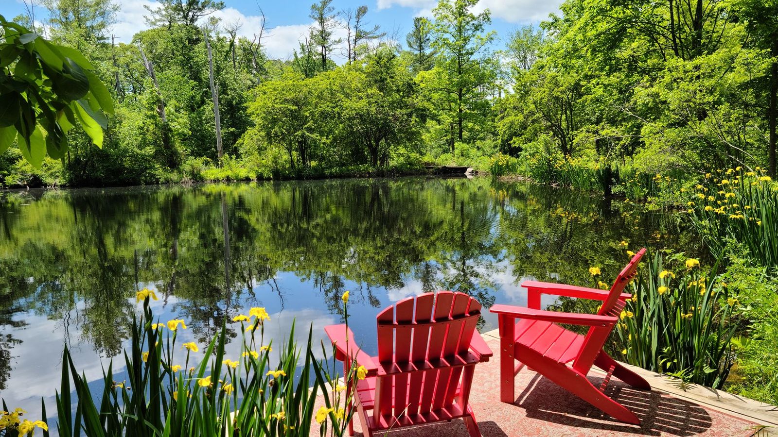 Muskoka without a car