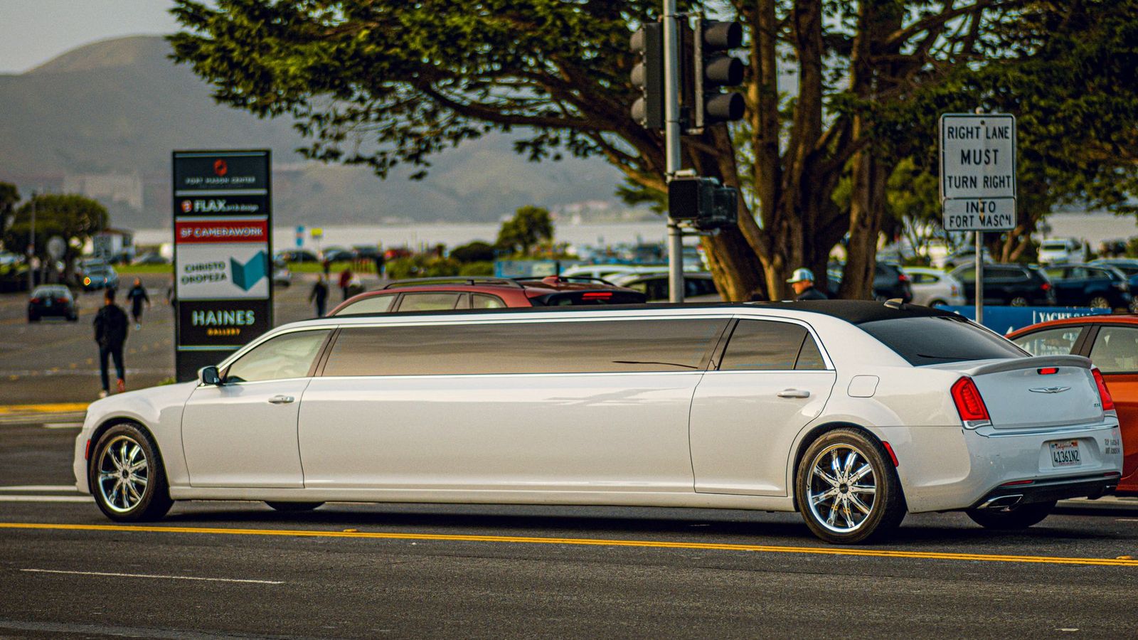 Party bus vs limo