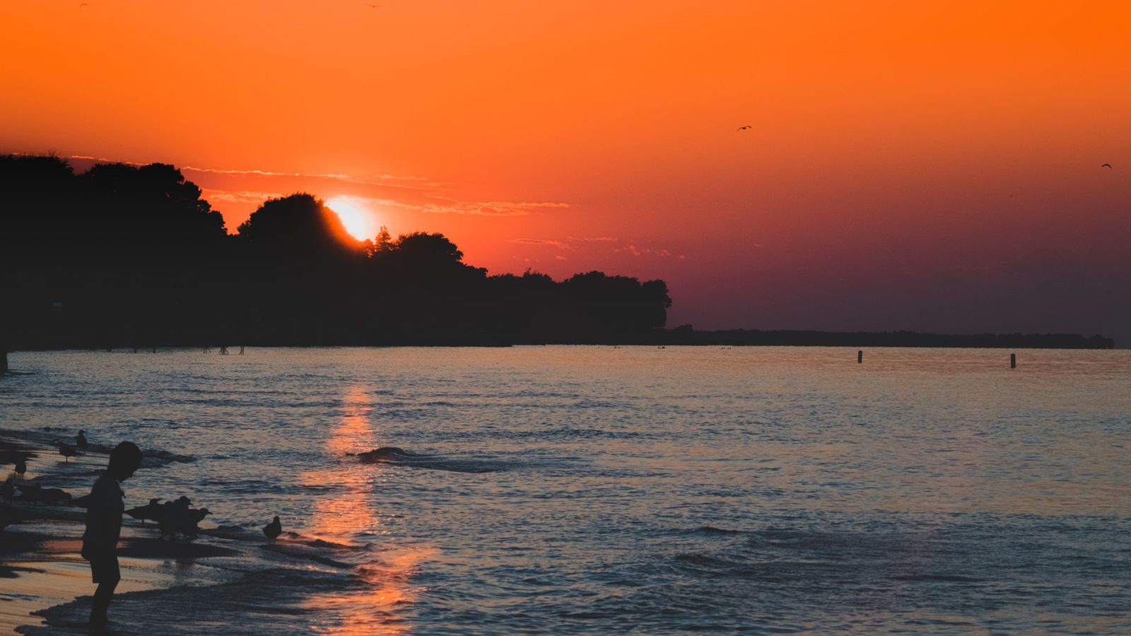 Things to do in Wasaga Beach