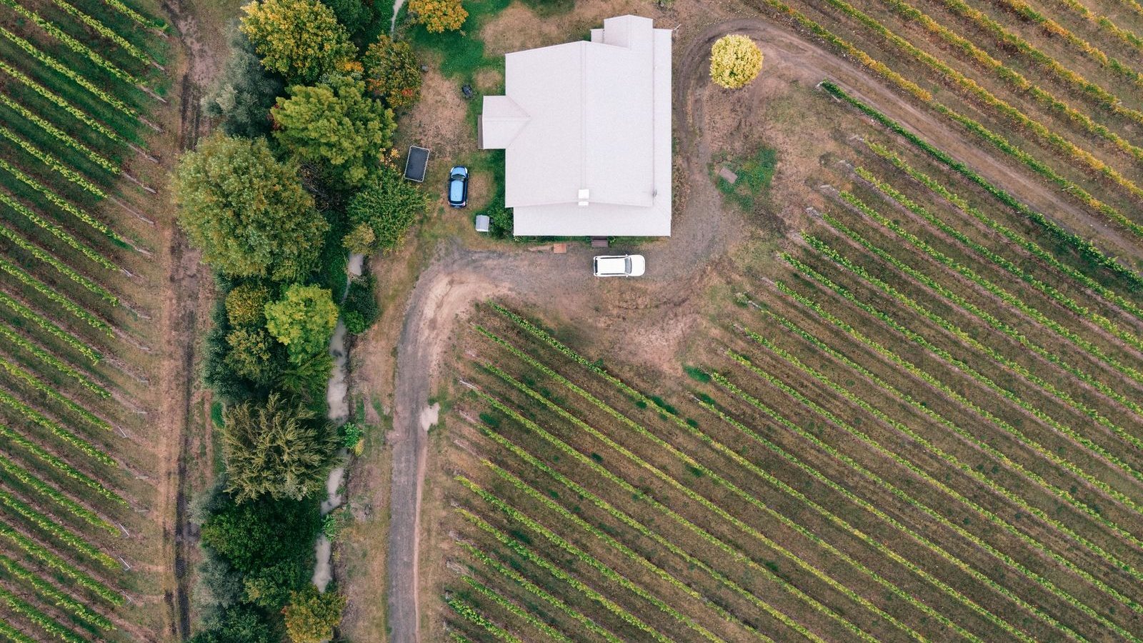 Wineries near Barrie
