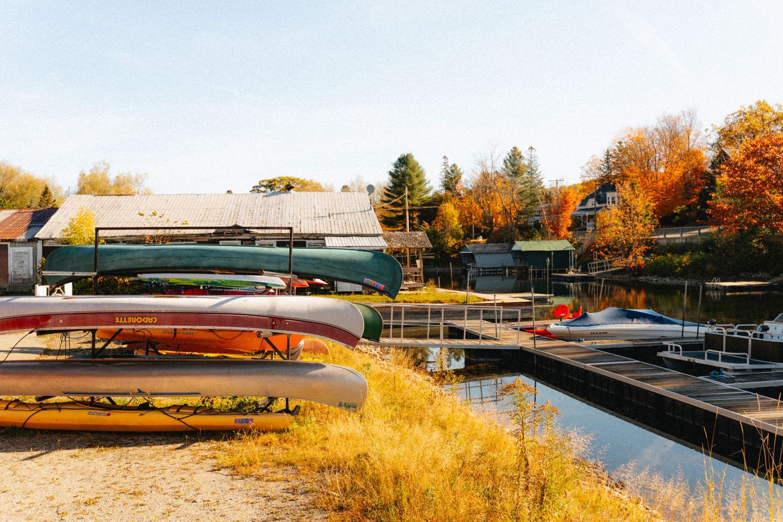 Autumn colours beside a canoe lake in Algonquin Provincial Park