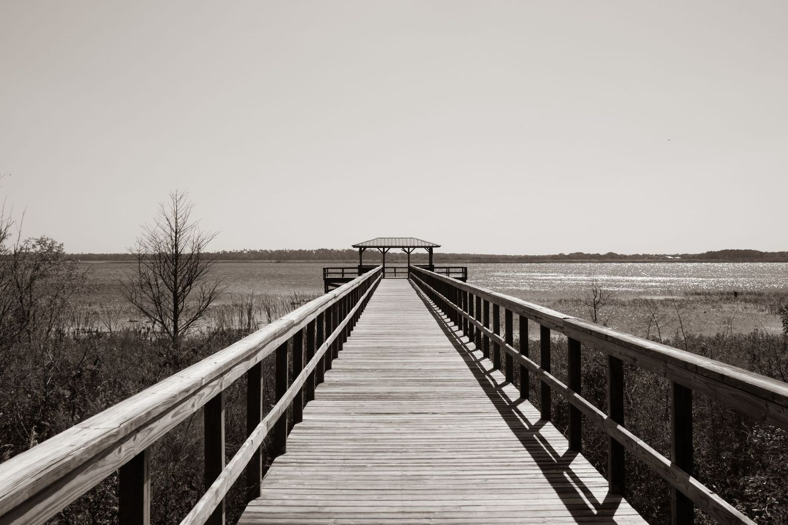 A black sedan waiting beside a harbour boardwalk on Georgian Bay