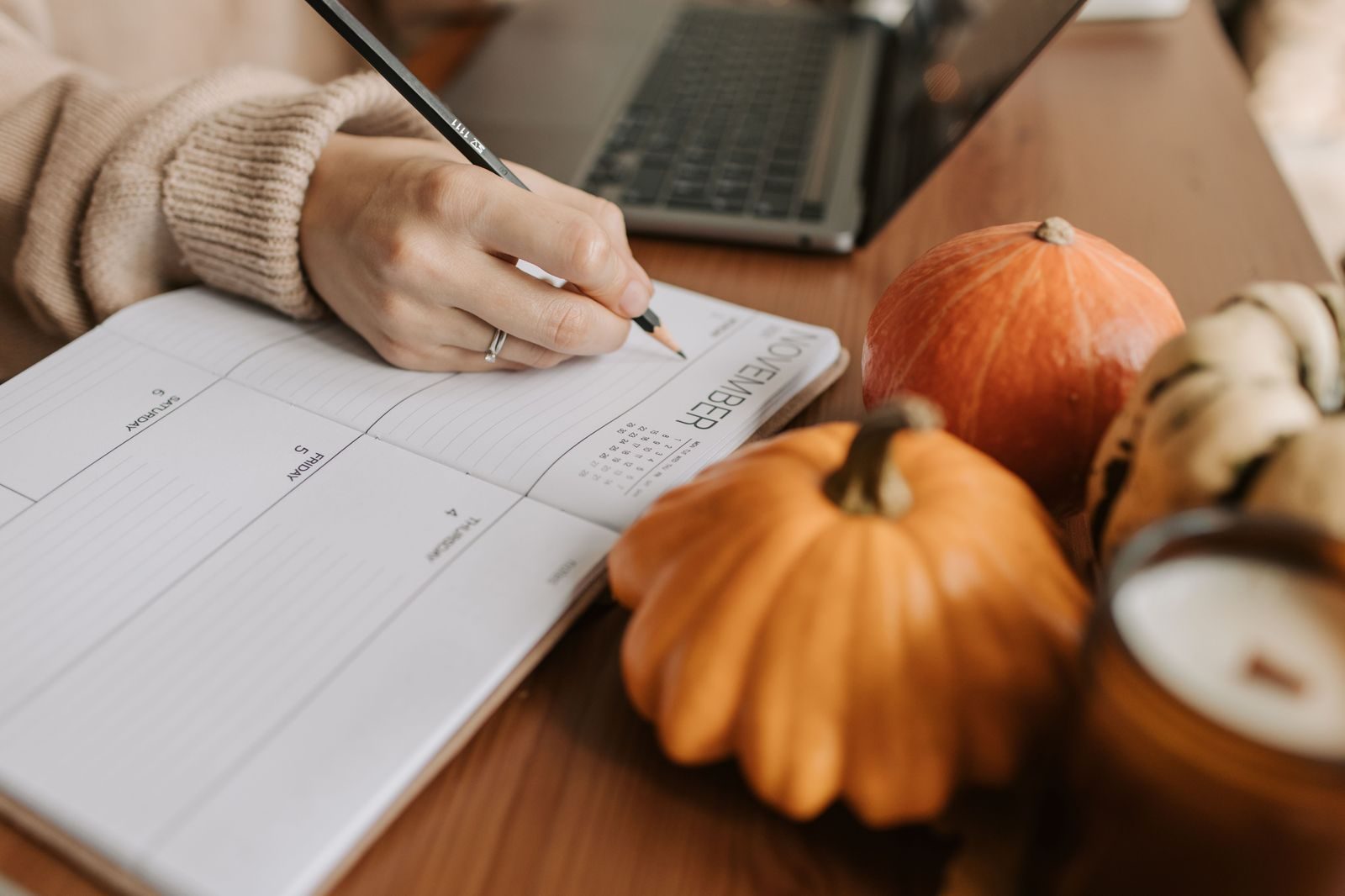 Wedding planner with a notebook and timeline