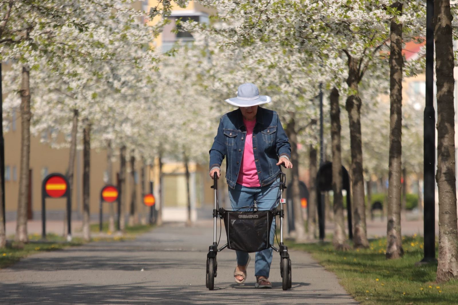 A passenger with a walker beside the car: tell us about mobility aids when you book