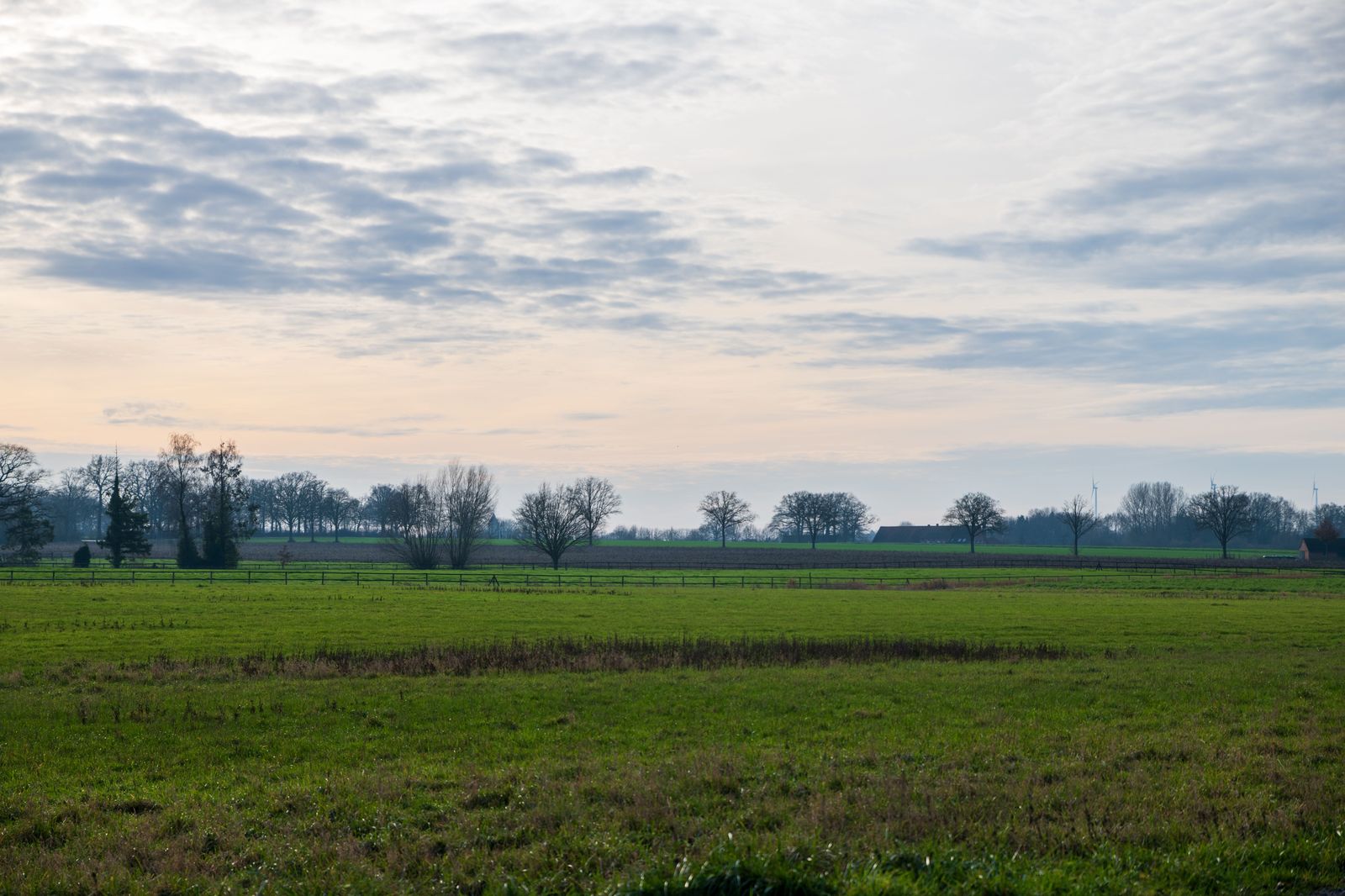 Flat farm fields in the Holland Marsh area under a wide sky