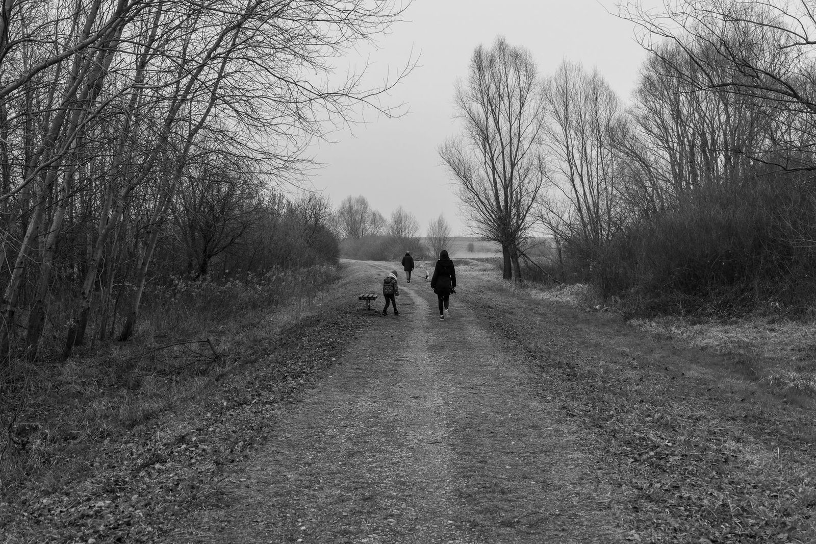 Family walking toward a black car under bare trees after a memorial service